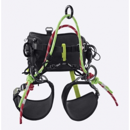Arnes Treerex II night- Oasis 2